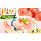 川中島白桃 6-8玉入り BKAD083