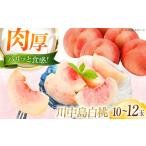 川中島白桃 10-12玉入り BKAD084