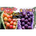 サンシャインレッド 富士の輝き 食べ比べセット 約1.0kg