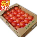 JAくま産 球磨のトマト 4kg