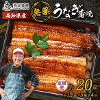 うなぎの蒲焼 定期便 計20尾
