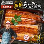 うなぎの蒲焼 定期便 計10尾