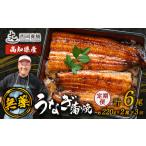 うなぎの蒲焼 定期便 計6尾