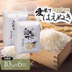 令和8年産 新米 はえぬき 精米 10kg