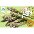 グリーンアスパラ 原農園 朝採り