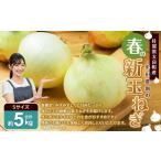 牟田農園の春の新玉ねぎ 5kg