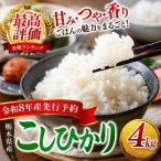ごはんが主役 産こしひかり 白米 4kg