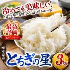 ごはんが主役 産とちぎの星 白米 3kg