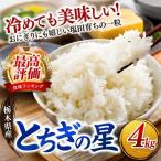 ごはんが主役 産とちぎの星 白米 4kg