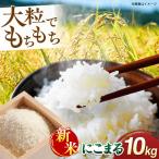 にこまる 白米 10kg
