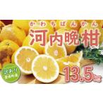 訳あり 河内晩柑 13.5kg