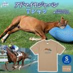 Tシャツ_ ベージュ BRTV035-1