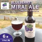 ブルーベリーミライエール 330ml×6本