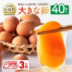 産鶏卵 南国からの大きな卵40個入り 35個+破損補償5個