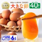 産鶏卵 南国からの大きな卵40個入り 35個+破損補償5個