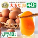 産鶏卵 南国からの大きな卵40個入り 35個+破損補償5個