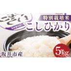 特別栽培米 ゆうだい 5kg