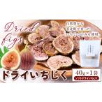 ドライいちじく 40g