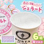 高遠の桜で作ったジェラート 桜ソルト 130ml×6個