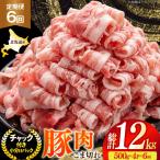 豚肉 豚こま切れ 小分け 2kg