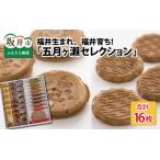 五月ヶ瀨 セレクション 五月ヶ瀬 6枚