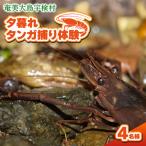 夕暮れタンガ捕り 体験 4名様