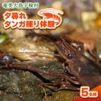 夕暮れタンガ捕り 体験 5名様