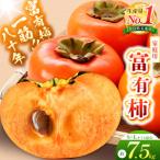 富有柿〈 約7.5kg