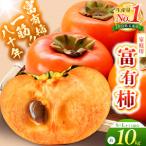富有柿〈 約10kg