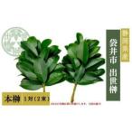 榊 出世榊 本榊 純 1日交換用