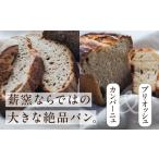 薪窯パン2種 カンパーニュ ブリオッシュ