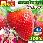 産とちあいか 朝採れ当日発送 270g×4P