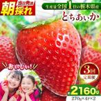 とちあいか 朝採れ当日発送 270g×4P×2