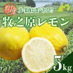 5kg
