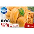 fu.... налог [ тщательно отобранный товар ] сырой фиолетовый морской еж дерево в коробке 120g Hokkaido . внутри город 