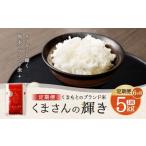 くまもとのブランド米 くまさんの輝き 5kg×全6回