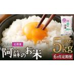 阿蘇のお米 5kg×全6回 米 コメ お米 こめ
