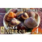 大粒活はまぐり4kg