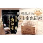 特別栽培米 極上南魚沼産コシヒカリ 有機肥料