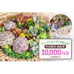 中山園芸 商品券 10 000円分