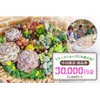 中山園芸 商品券 30,000円分