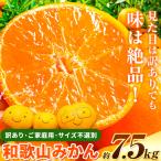 みかん 訳あり 和歌山みかん 約7.5kg