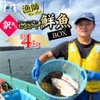 漁師セレクト オホーツク海のおまかせ鮮魚BOX 約4kg