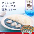 クリシュナ オホーツク流氷カリー 220g