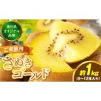 ふるさと納税 ご家庭用さぬきゴールドキウイ約1kg【香川県共通返礼品】 | 果物 フルーツ さぬきゴールド キウイ キウイフルーツ フレッシュ ジュ.. 香川県三木町