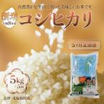 会津 コシヒカリ 5kg×5回お届け