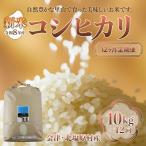 会津 コシヒカリ 10kg×12回お届け
