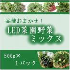 fu.... налог товар вид случайный!LED.. овощи Mix 500g×1 упаковка [ рассылка не возможно регион : отдаленный остров * Hokkaido * Okinawa префектура * China * Сикоку * Kyushu ][1668702] Gunma префектура Yoshioka блок 