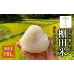 棚田米 品種 お任せ 無洗米