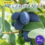 及川農園 プレミアムハスカップ 2kg